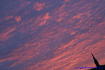 [iero] [paudu8e] 20081004_194324
