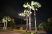 [iero] Boulevard des Pyrenees ou promenade des Palois..