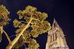 [iero] Au milieu des bois, une église