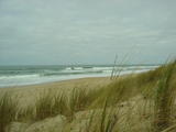 Royan