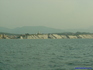 iero Socoa12511