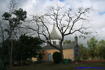 [iero] Chapelle Pointue, au milieu de la foret d'eucalyptus