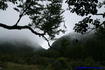 [iero] Paysage primaire