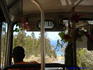 [iero] La route sinueuse dans un bus décoré avec des guirlandes de Noel