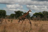 Kruger Park