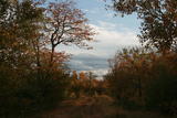 Limpopo