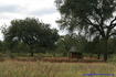 [iero] Village du Limpopo