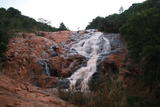 Phophonyane