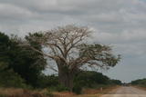 Vilankulo Inhambane