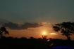 [iero] Le soleil rencontrera t'il le Baobab ?