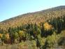 [iero] Les forets en arrivant à la baie.
