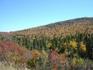 [iero] C'est l'automne, les arbres sont de toutes les couleurs.