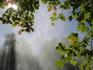 [iero] La vapeur d'eau à travers un érable. Vue Canadienne..