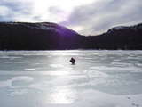 Lac des cygnes