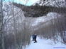 [iero] Ptite pause au milieu des arbres tous nus.