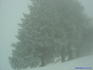 [iero] Et aussi du brouillard :(