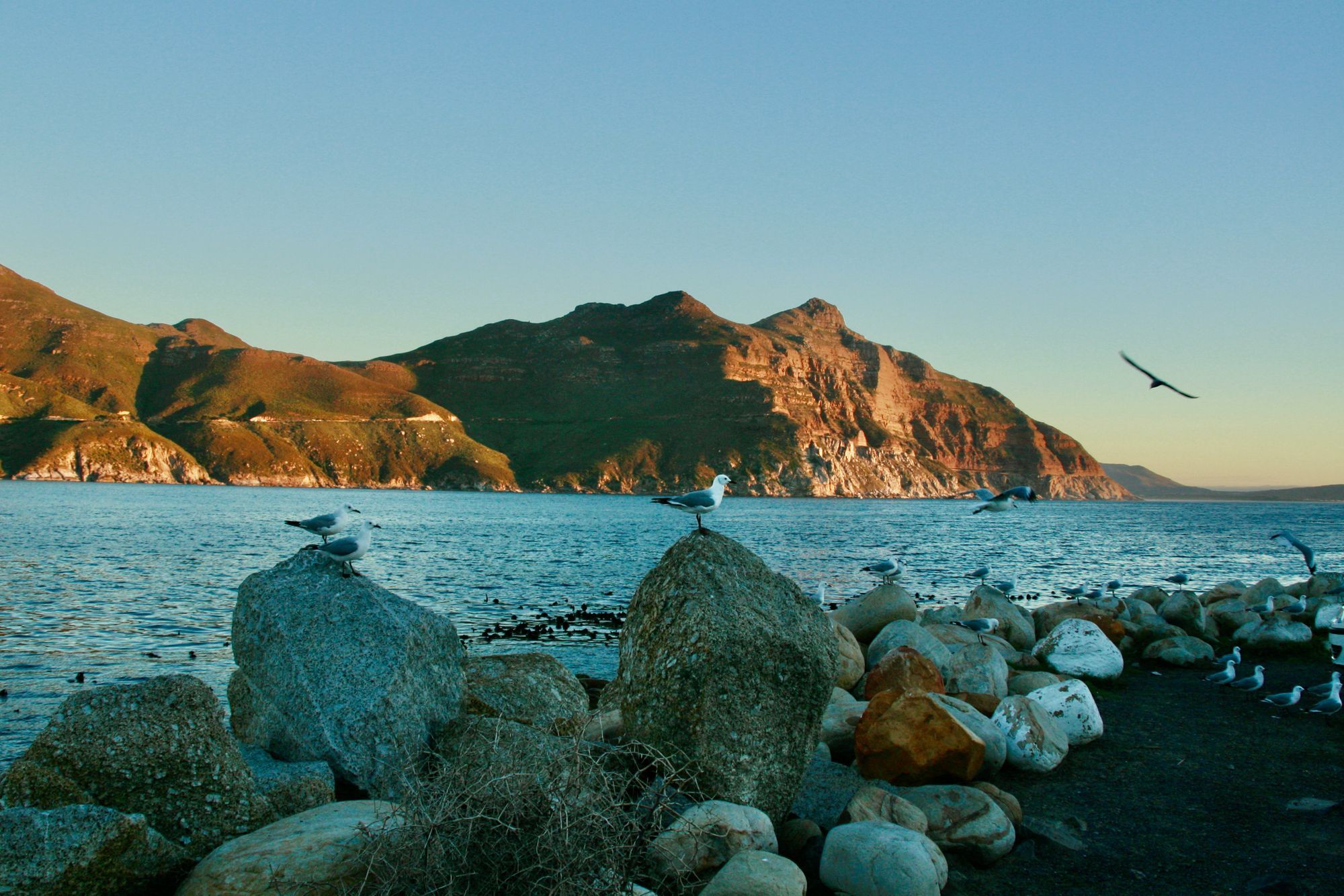 Hout Bay