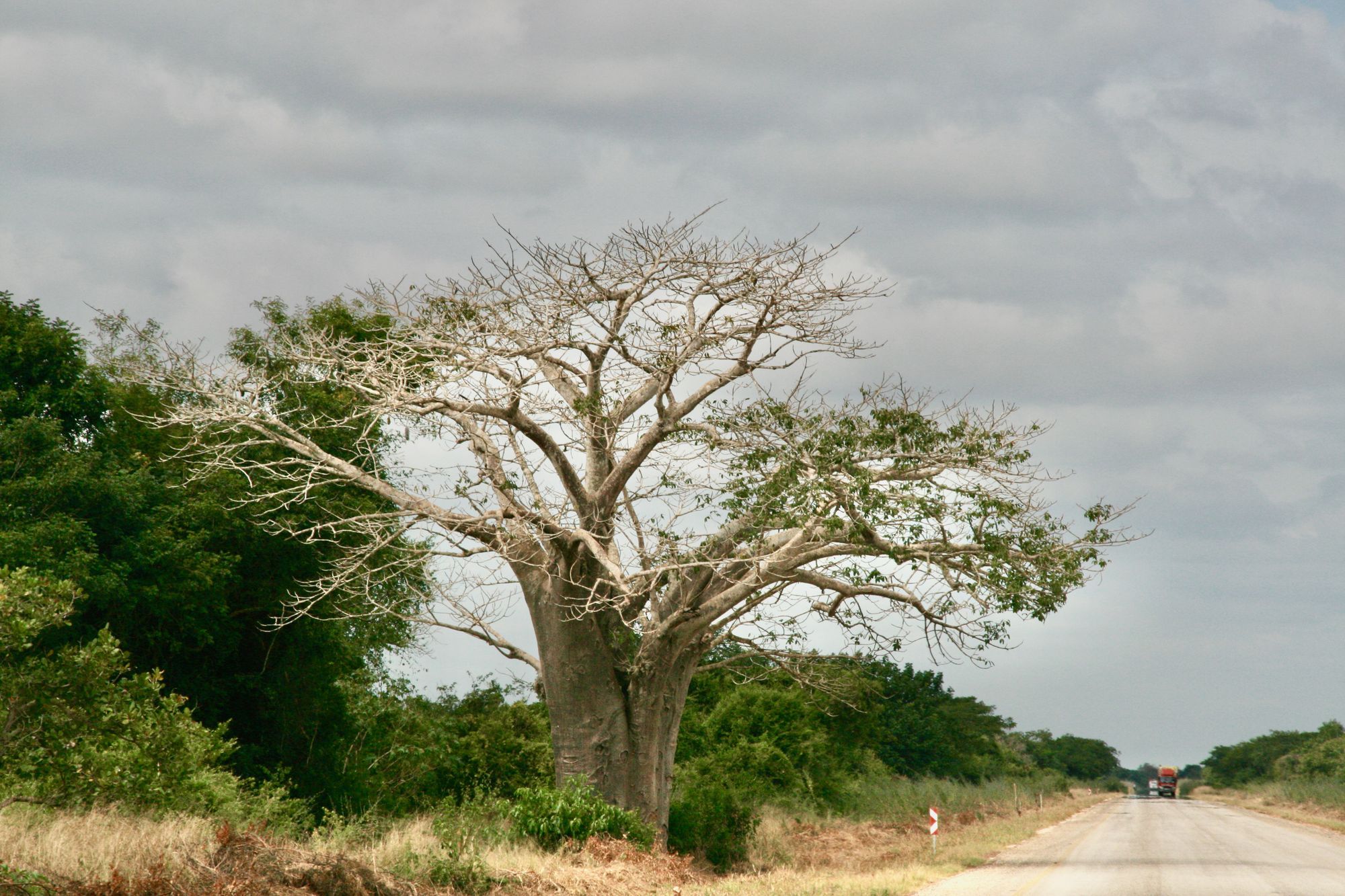 De Vilankulo à Inhambane – 341km