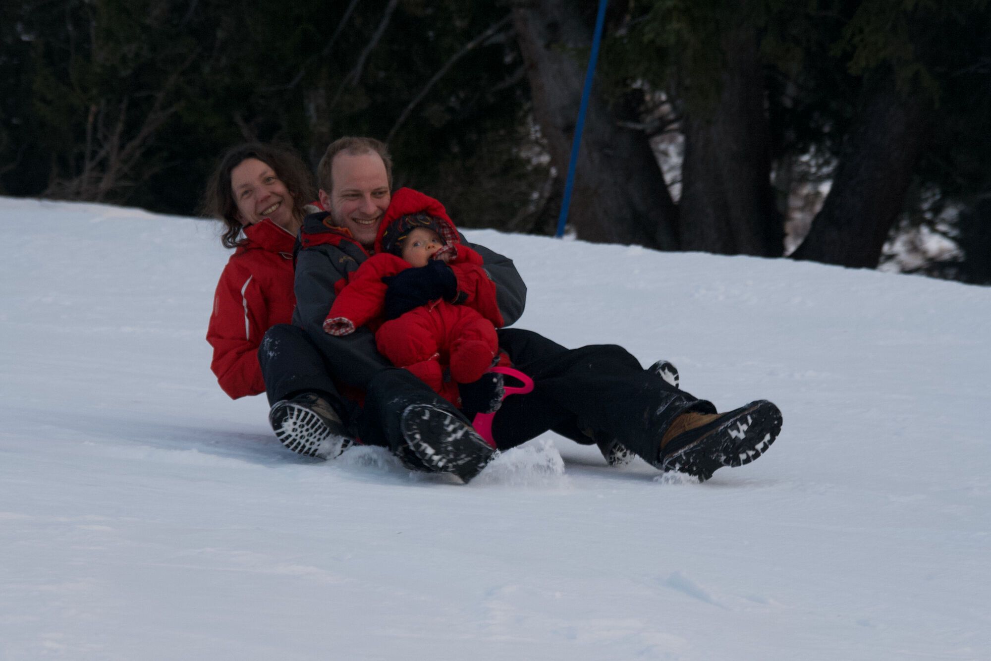 Aux arcs