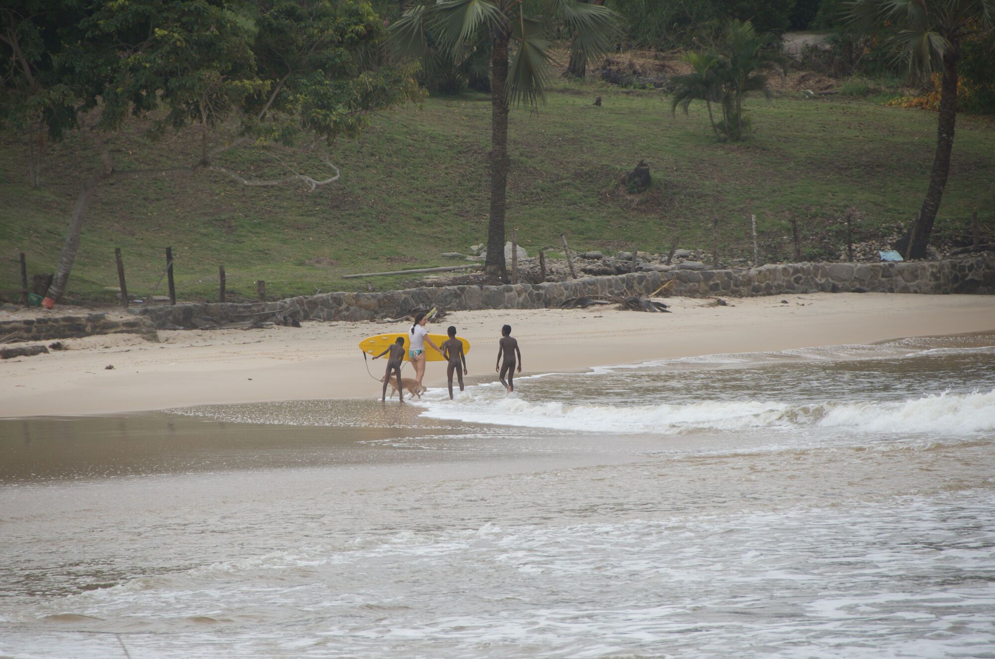 Goldy au Congo