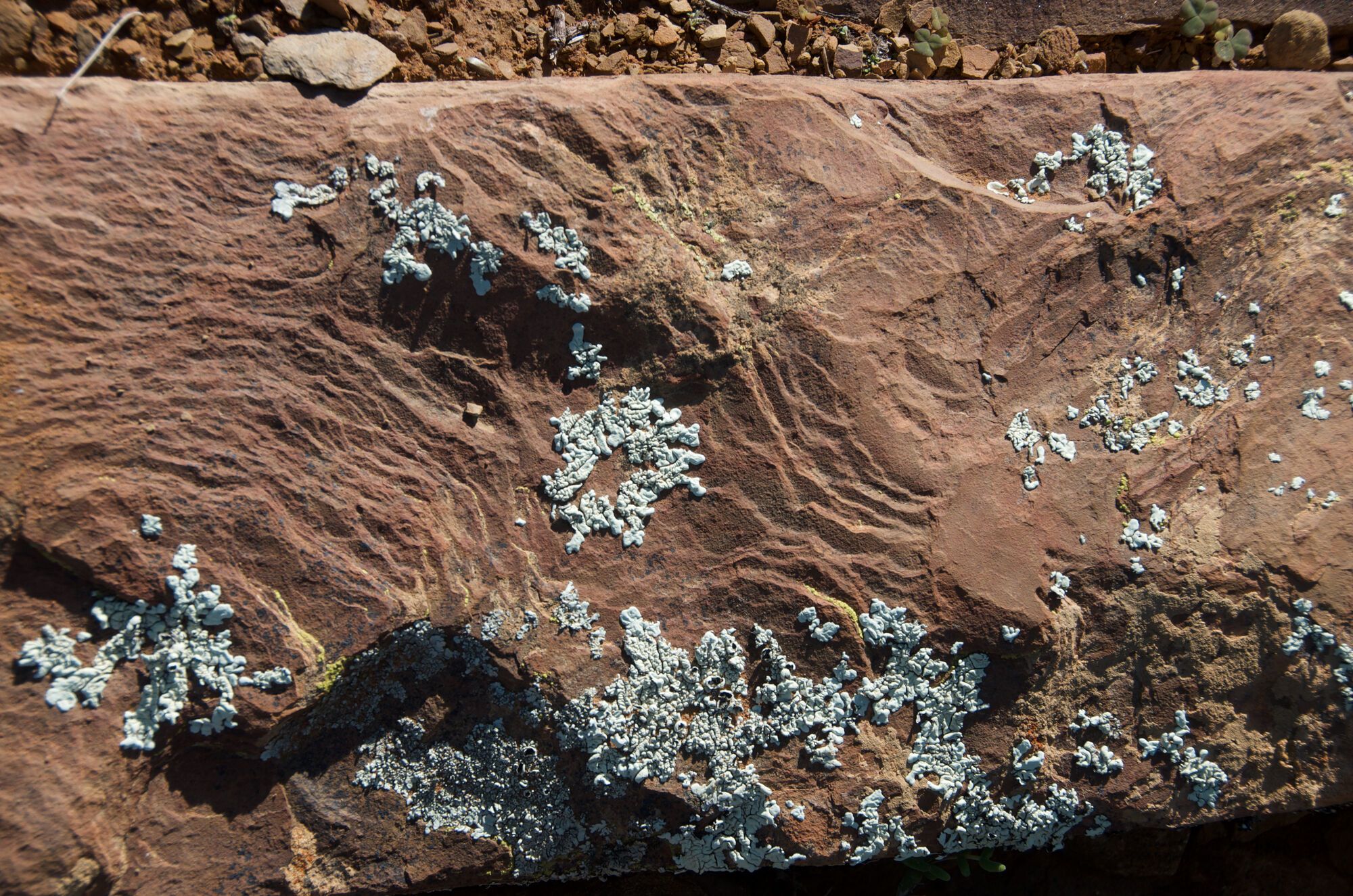 Textures et couleurs