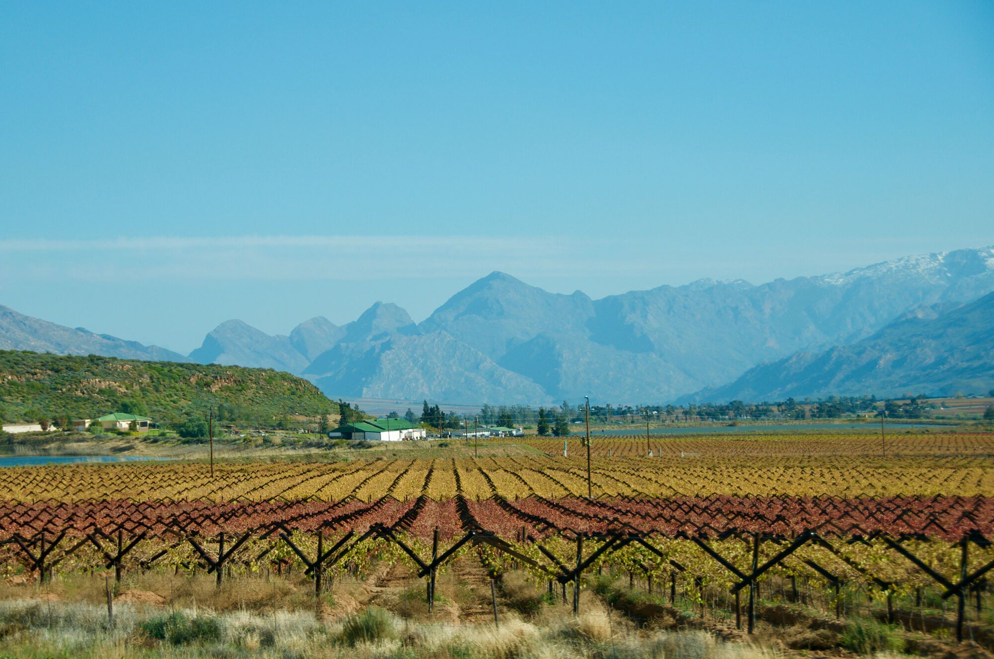 Scenic wine drive