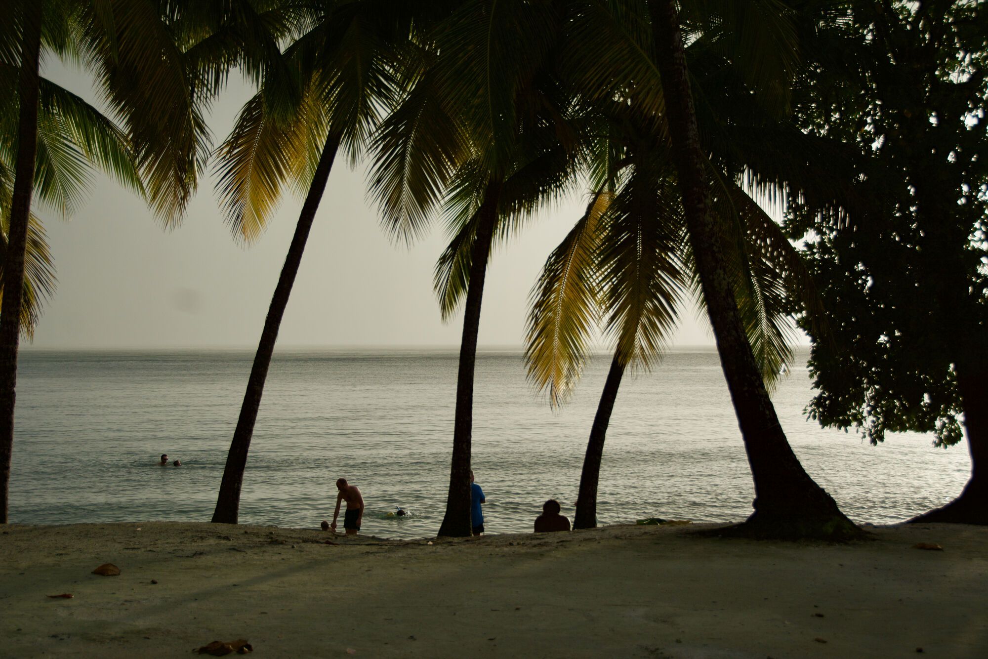 Anse Figuier