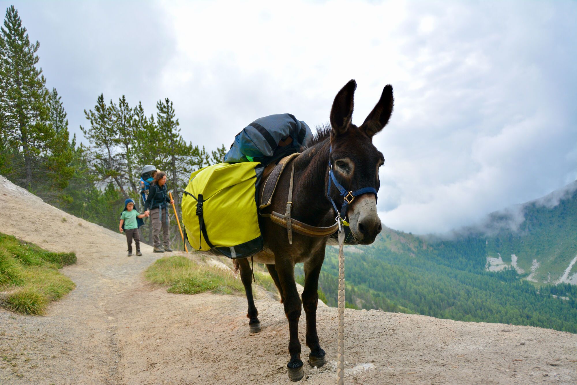 Portraits d’été en Queyras
