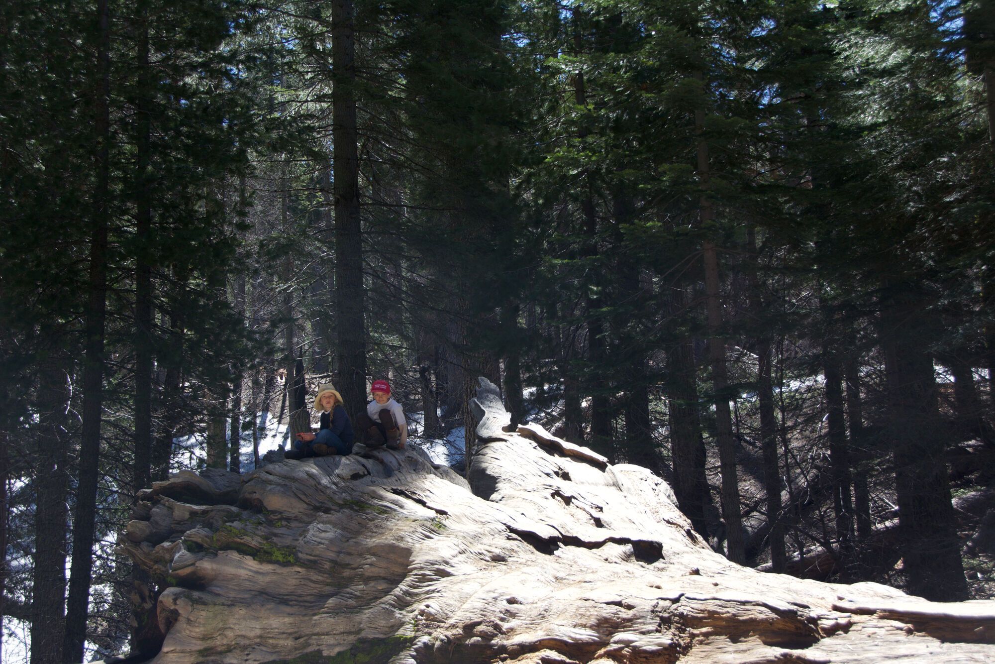 Yosemite au printemps