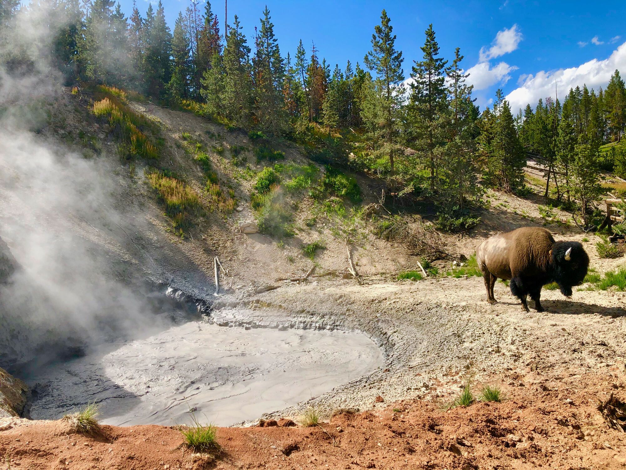 South Yellowstone