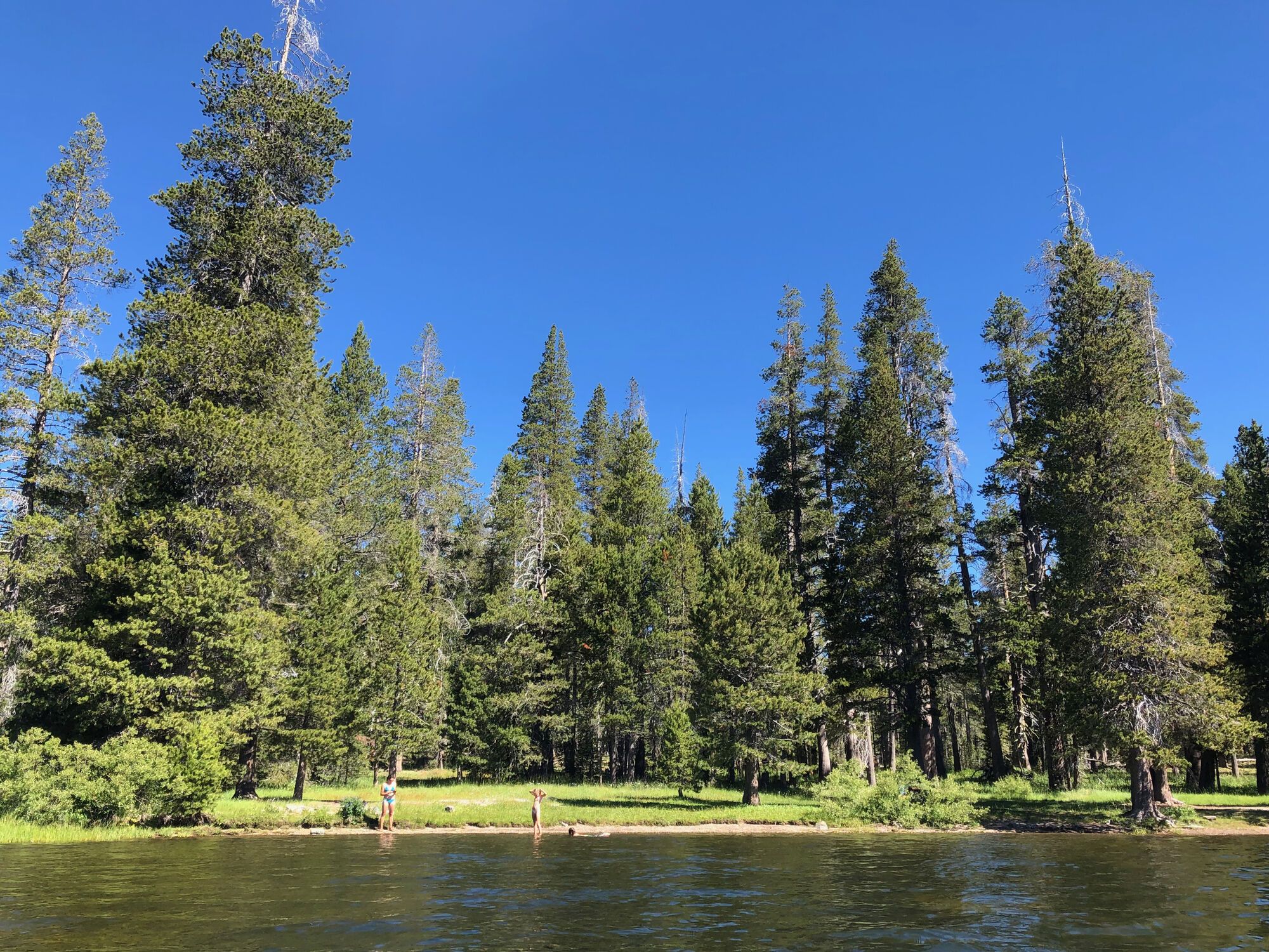 Nord Truckee