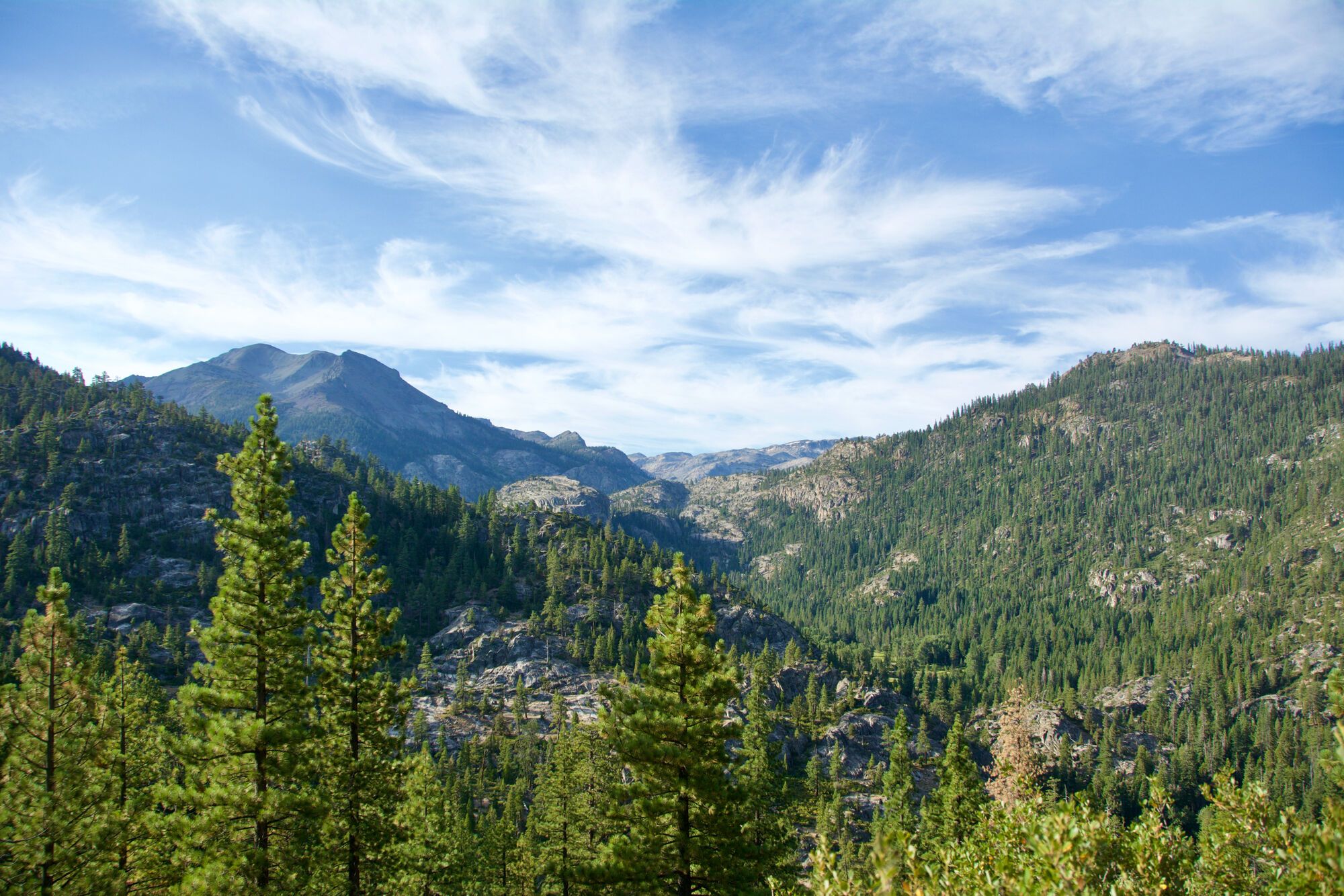 Sonora Pass