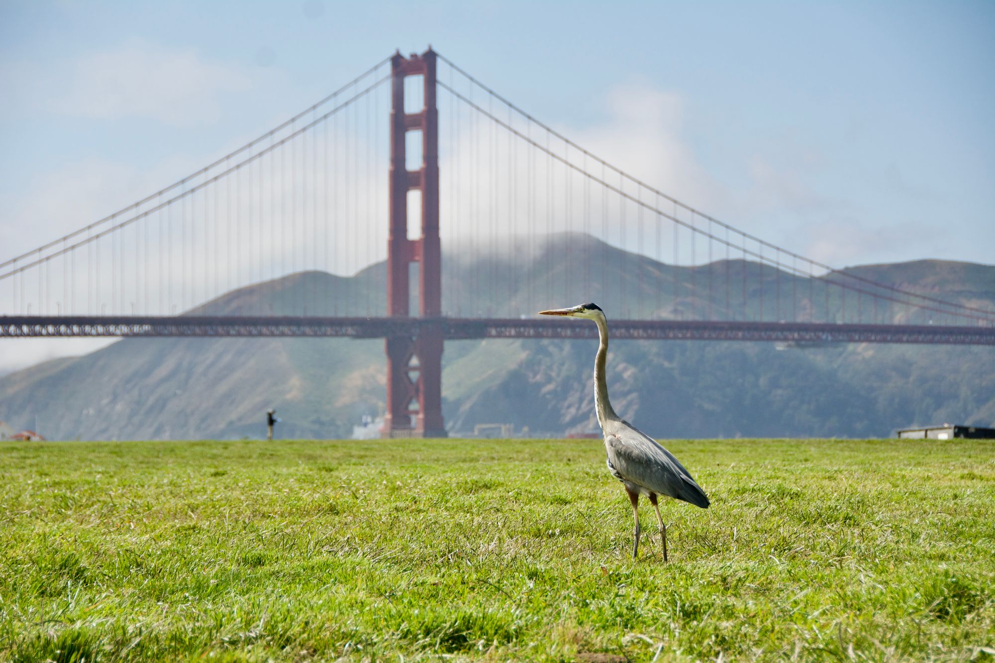 Crissy Field sous le vent