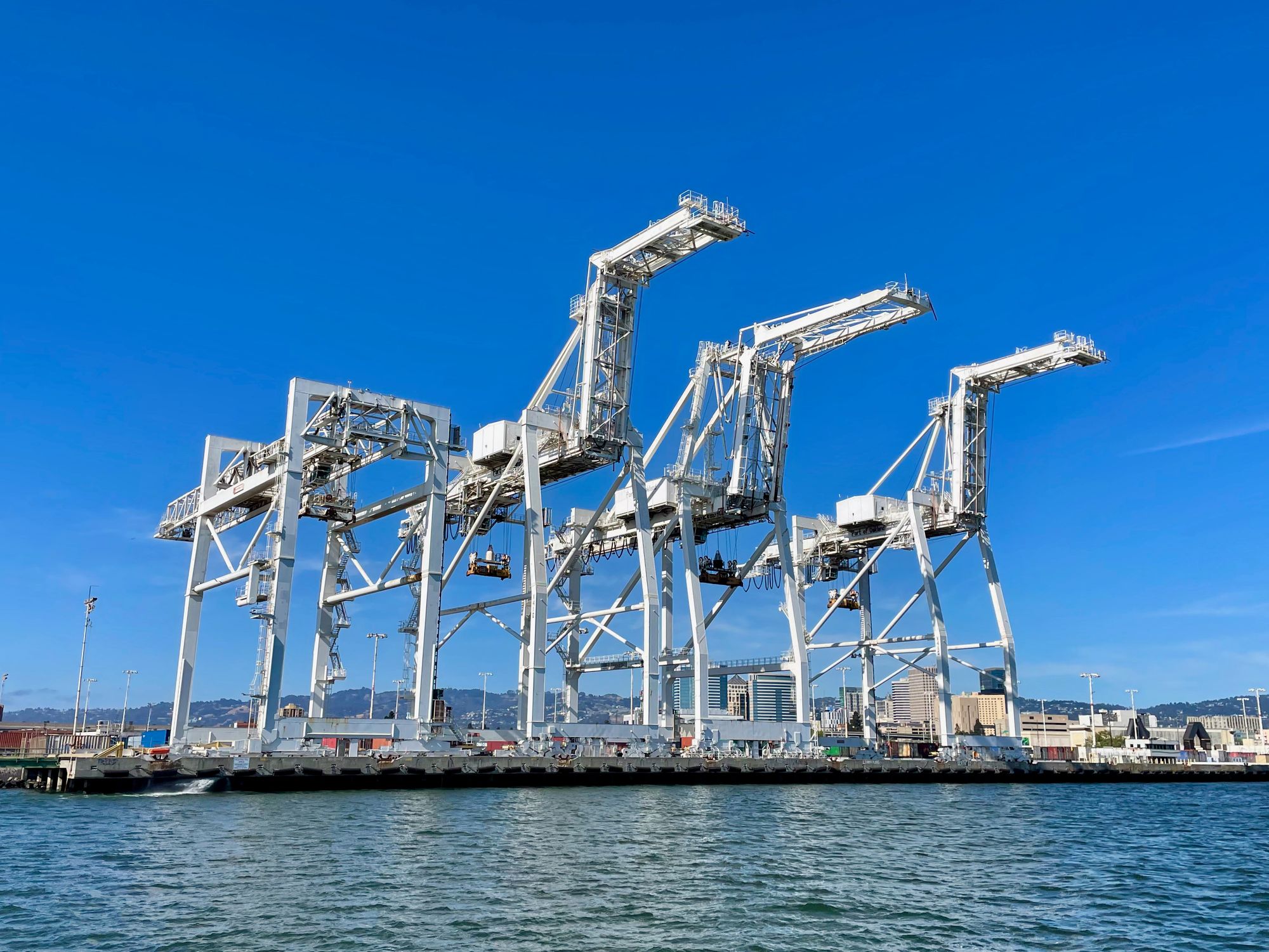 Oakland Cranes