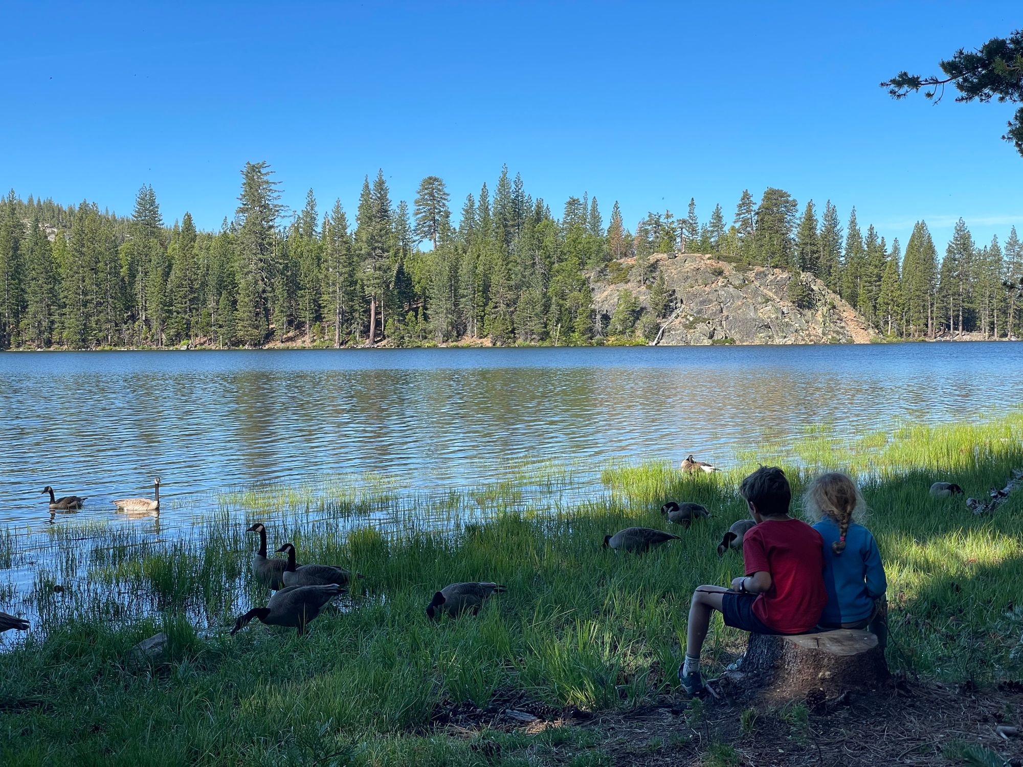Camping au bord du lac