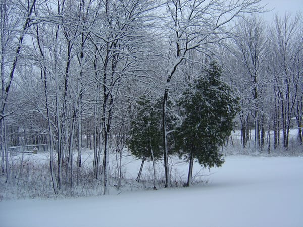 L’hiver est là