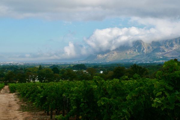 Constantia