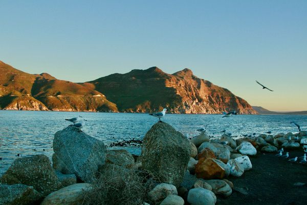 Hout Bay