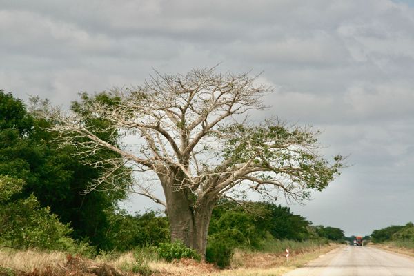 De Vilankulo à Inhambane – 341km