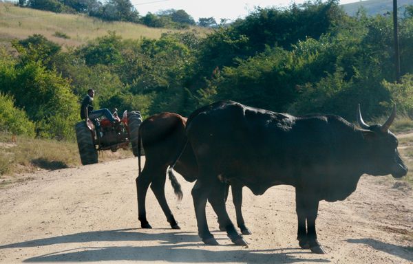 Pigg’s Peak et Phophonyane – 171km