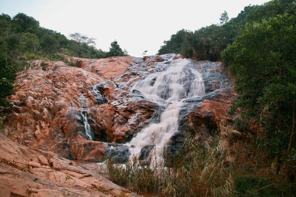 Phophonyane