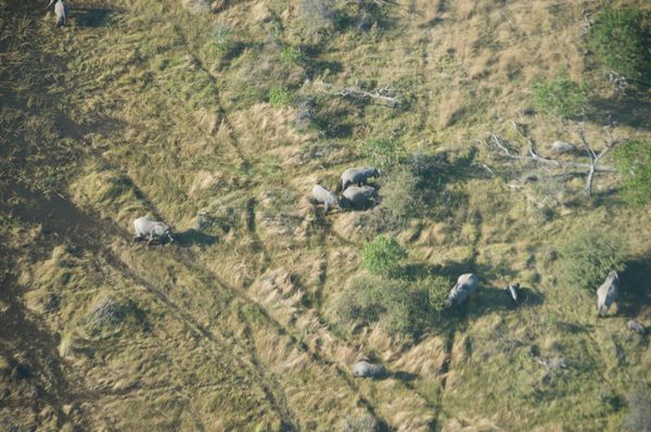 Botswana vu du ciel