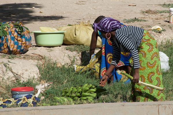 Livraison de Bananes