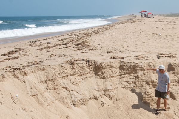 Affleurements de plage