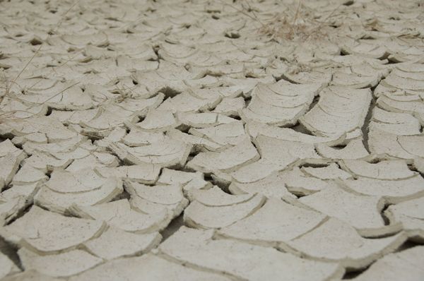 Terre craquelée