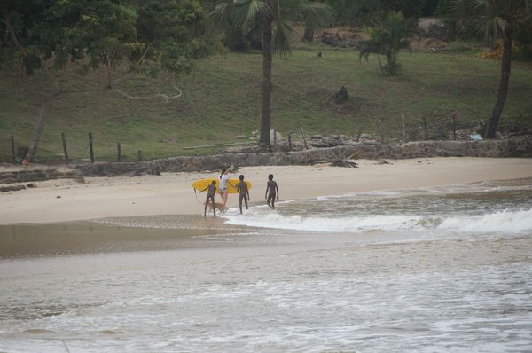 Goldy au Congo