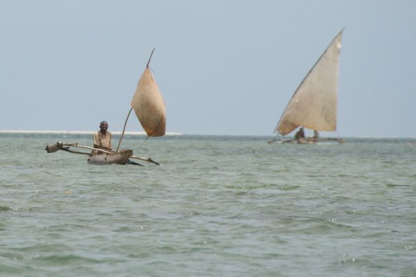 Ngalawa