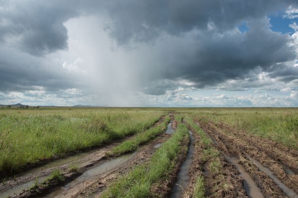 Saison des pluies