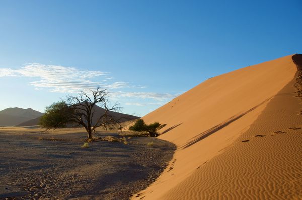 Dune 45