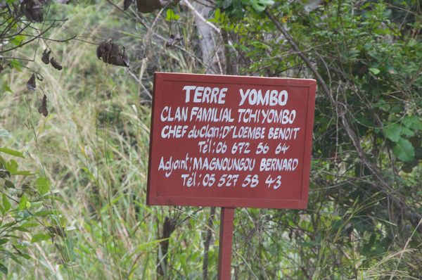 Yombo